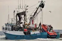 Kapal purse seiner kanggo didol