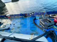 Pembawa akeh kanggo didol
