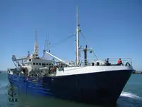 Purse seiner kanggo didol