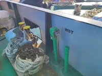 Kapal kontainer kanggo didol