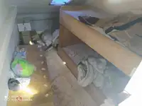 Kapal kerja kanggo didol