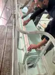 Kapal kerja kanggo didol