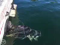 Kapal trawler kanggo didol