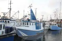 Pembawa iwak urip kanggo didol