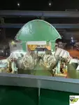Kapal Ro-Ro kanggo didol
