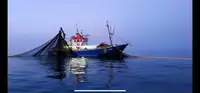 Trawler kanggo didol