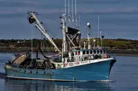 Kapal purse seiner kanggo didol