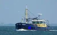 Kapal trawler berkas kanggo didol