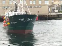 Kapal trawler kanggo didol