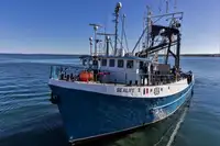 Kapal purse seiner kanggo didol
