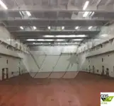 Kapal Ro-Ro kanggo didol