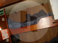 Kapal pengangkut iwak urip kanggo didol