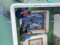 Kapal trawler kanggo didol