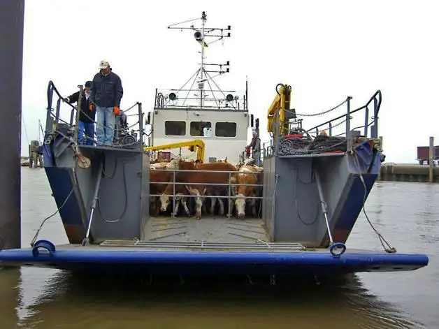 Kapal pendaratan, tangki kanggo didol