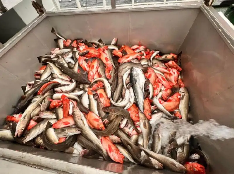 Fishing Trawler kanggo didol