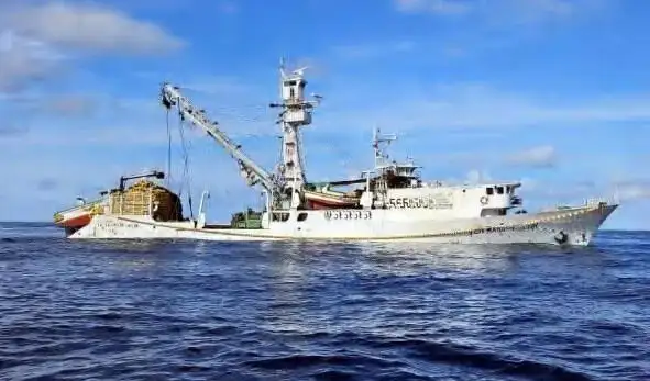 seiner kanggo didol