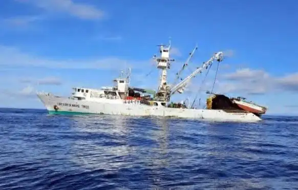 seiner kanggo didol