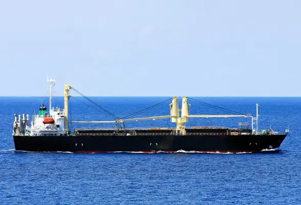 Bulk carrier for sale