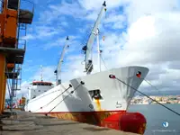 Kapal reefer kanggo didol