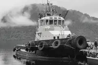 Towboat kanggo didol
