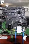 Pembawa akeh kanggo didol