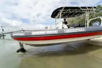 amfibi kanggo didol