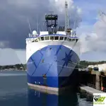 Kapal survey kanggo didol