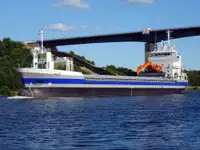 Pembawa akeh kanggo didol