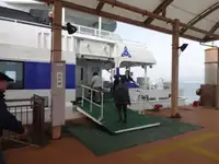 Katamaran kanggo didol