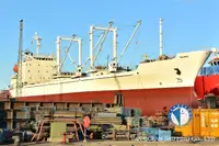 Kapal reefer kanggo didol