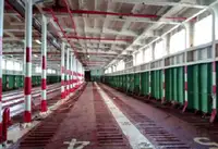 kapal RORO kanggo didol