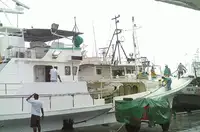 Kapal longline kanggo didol